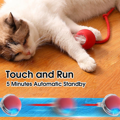 Yopoll interactive pet toy ball
