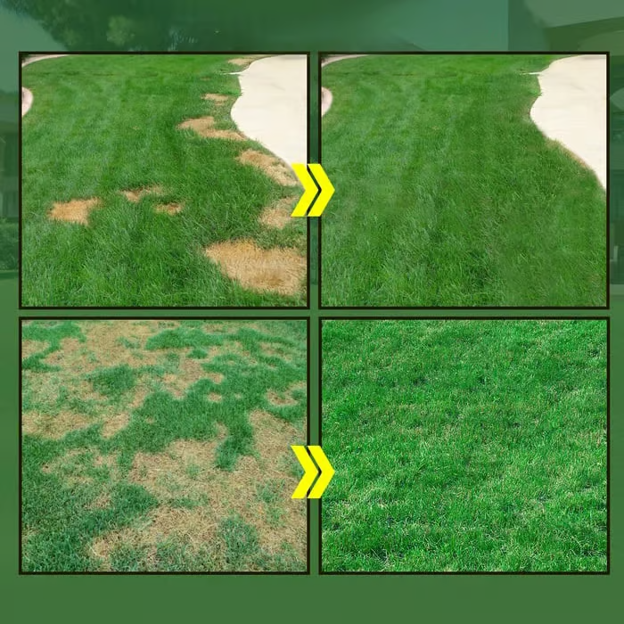 🔥Last Day 50% OFF🌱Hydro Seeding Lawn Solution