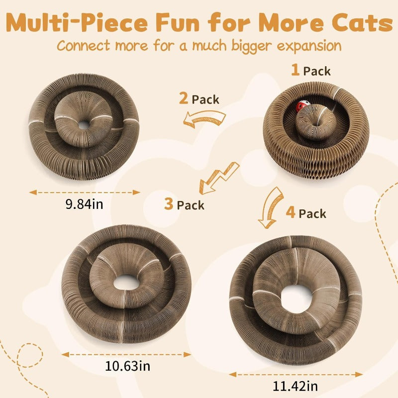 Multi-Shape Foldable Scratcher