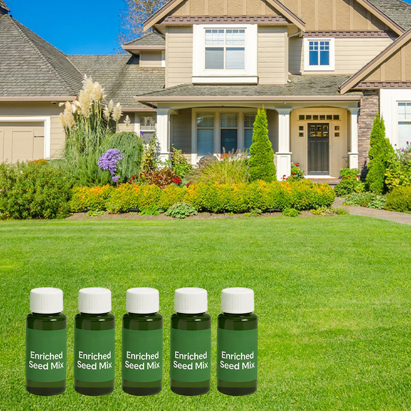 🔥Last Day 50% OFF🌱Hydro Seeding Lawn Solution
