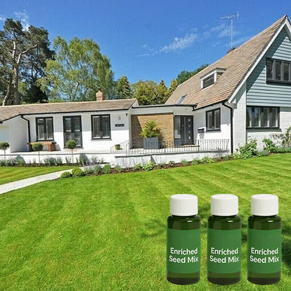 🔥Last Day 50% OFF🌱Hydro Seeding Lawn Solution