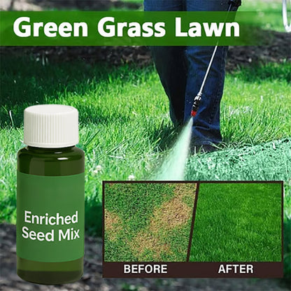 🔥Last Day 50% OFF🌱Hydro Seeding Lawn Solution