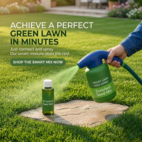 🔥Last Day 50% OFF🌱Hydro Seeding Lawn Solution
