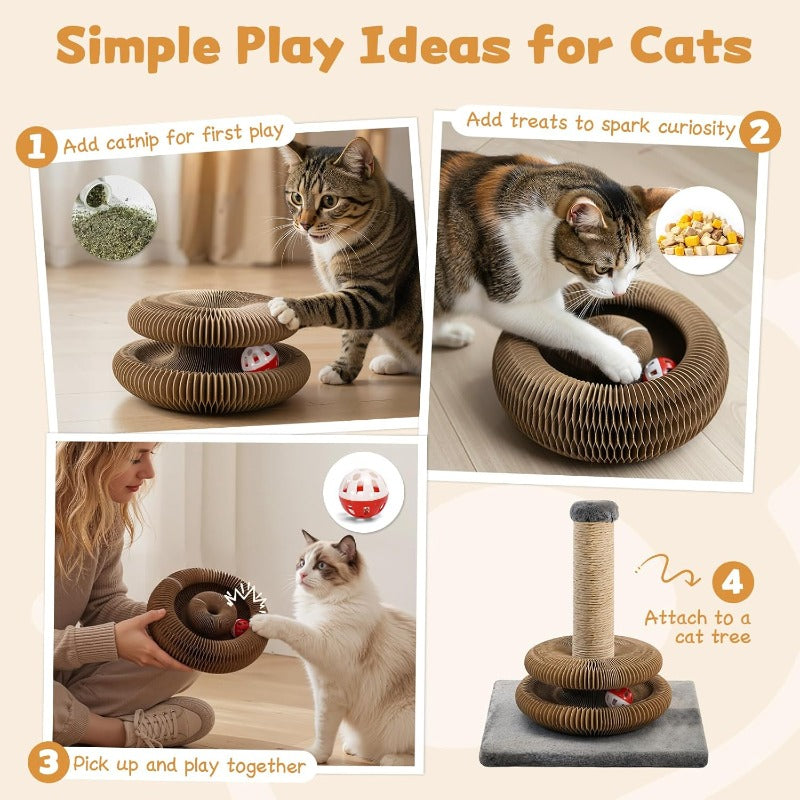 Multi-Shape Foldable Scratcher