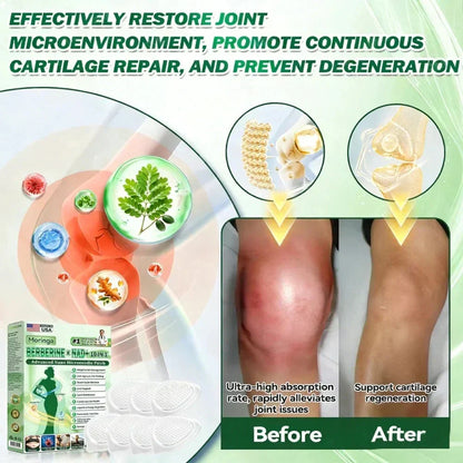 Lose Up to 45lbs: 10-in-1 Nano Microneedle Patch (VIXIRUS & Berberine × NAD+)